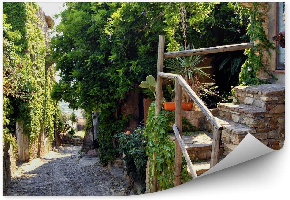 i-fototapety-pl-historyczna-alejka-wlochy-roslinnosc-fototapeta-samoprzylepna-250x250cm-magicstick