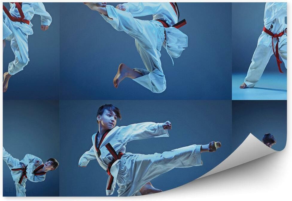 i-fototapety-pl-kolaz-trening-karate-chlopak-fototapeta-samoprzylepna-250x250cm-magicstick