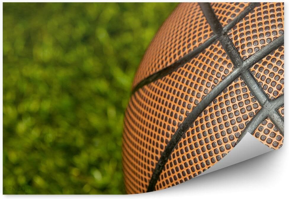 i-fototapety-pl-pilka-do-koszykowki-trawa-fototapeta-samoprzylepna-250x250cm-fizelina