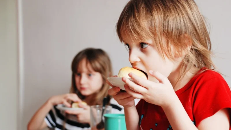 Bebiko Junior 4 Mleko modyfikowane powyżej 2 roku życia 800g