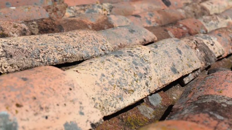Bezpieczne majsterkowanie: Porady dotyczące wyboru materiałów budowlanych i narzędzi, dachówka Braas w Poznaniu