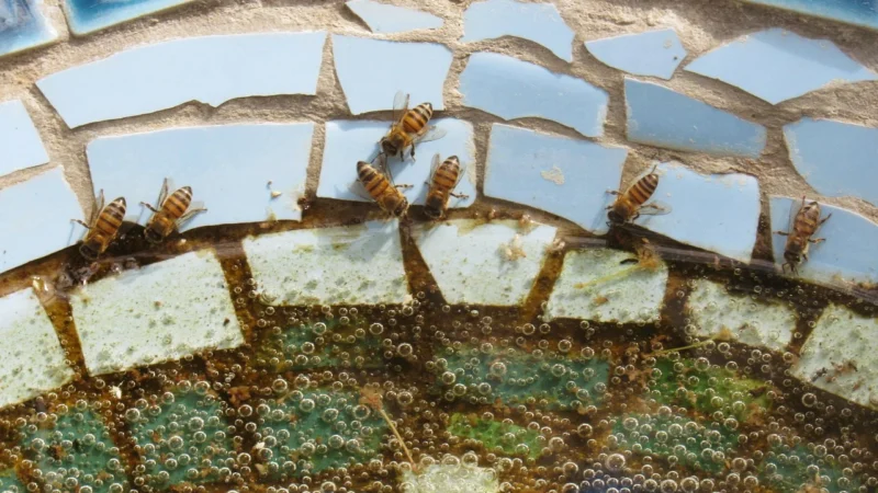 Cercom Infinity Mosaico Random Sand 30×30 Wax-Rett Gres