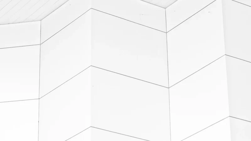 Cersanit Płytka Ścienna Blanka White Ornament Structure Glossy 20X60 (Nt0570371)