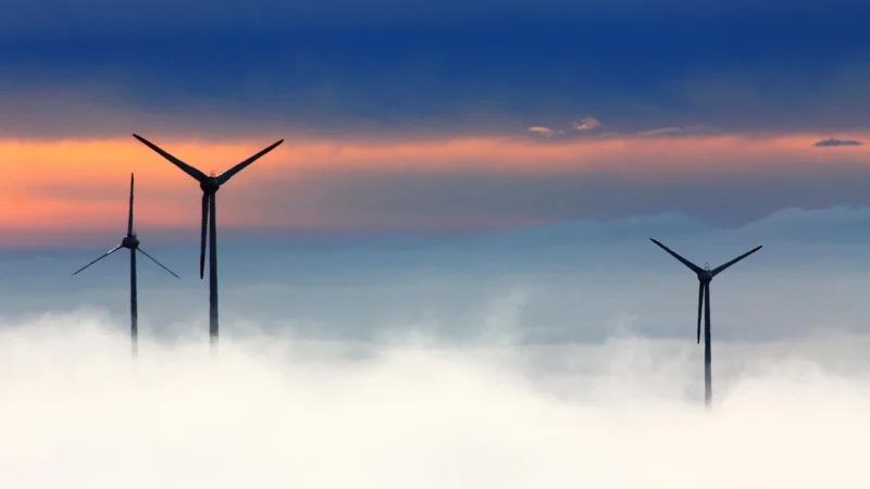 Dekoral Energia Barw Orzech Amerykański 2.5l