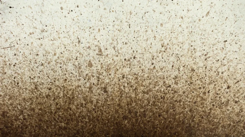 Dulux Kolory Świata Drzewo Sandałowe 5L