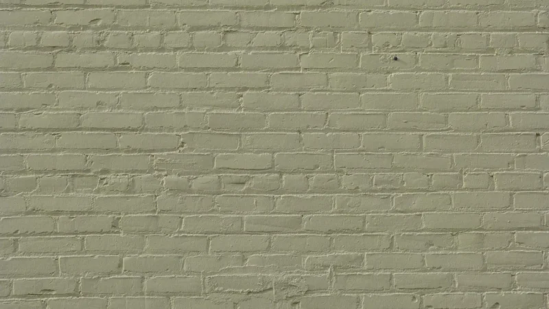 Dulux Kolory Świata Las Równikowy 2,5L