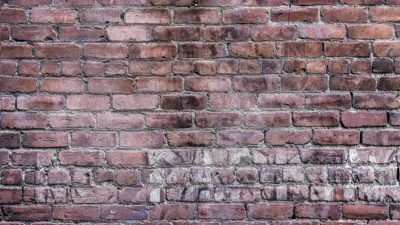 Dulux Kolory Świata Ogrody Magnolii 5L