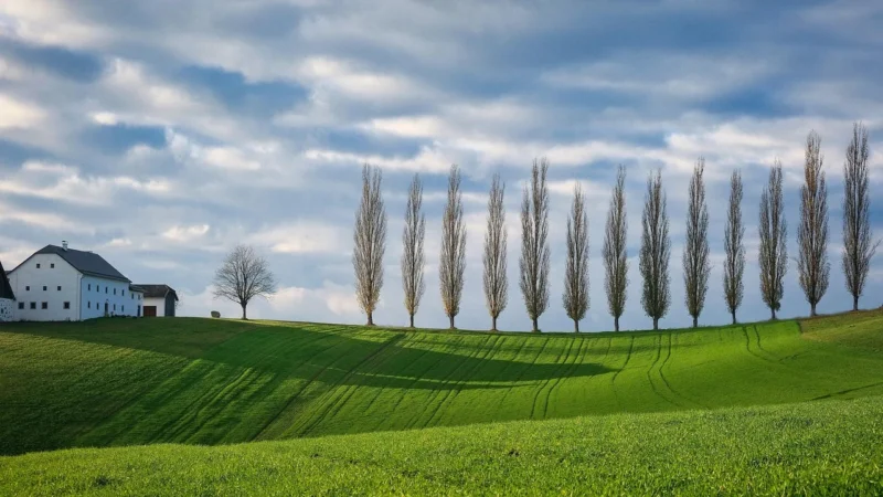 Dulux Kolory Świata Złota Świątynia 5L