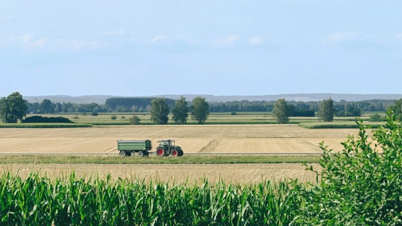 Fototapety.Pl Ciągnik Traktor Na Polu Fototapeta Ścianę 250x250cm Magicstick