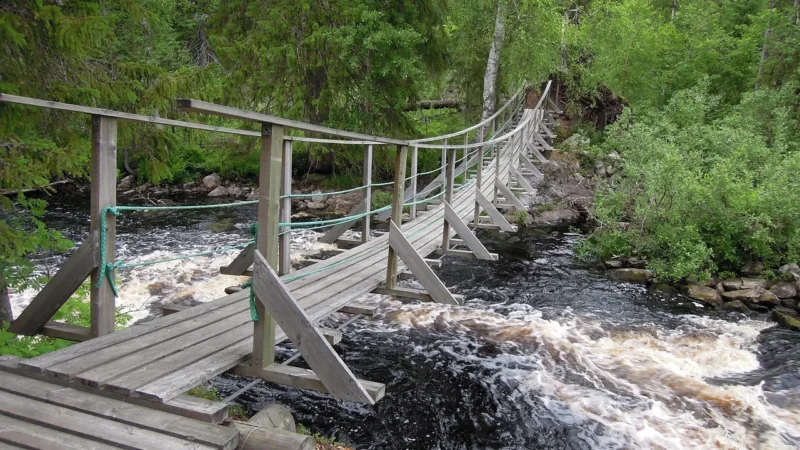 Fototapety.Pl Drewniany Most Wiszący Las Latarnia Okleina Na Ścianę 250x250cm Magicstick