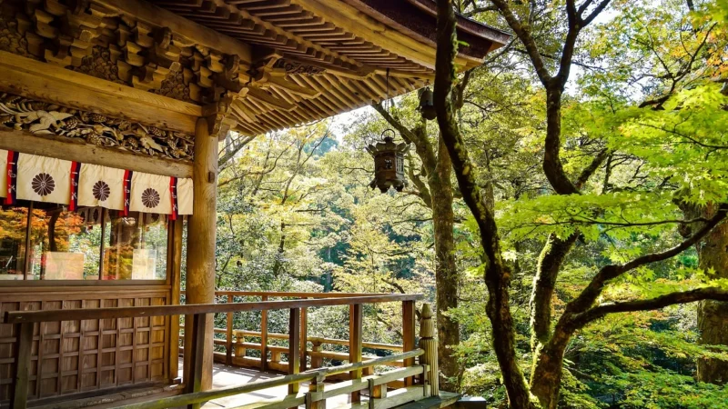 Fototapety.Pl Jesienne Kolorowe Liście Japonia Zamek Woda Okleina Na Ścianę 250x250cm Magicstick