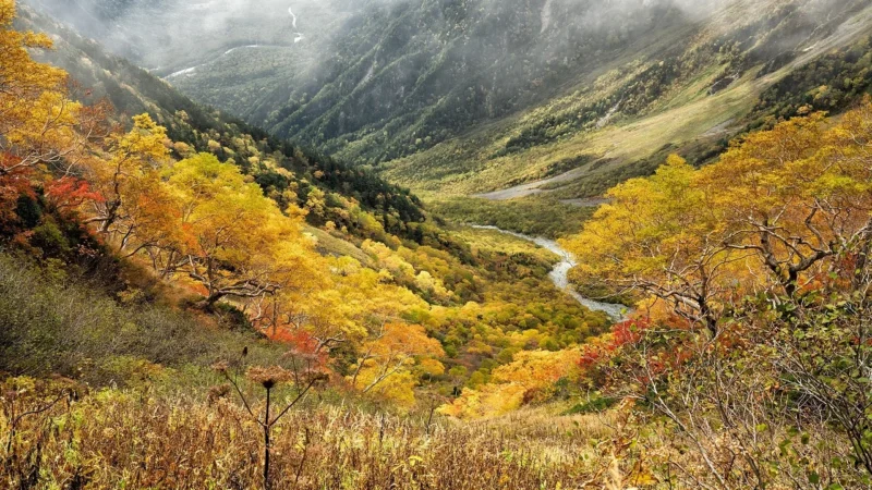 Fototapety.Pl Jesienne Kolorowe Liście Japonia Zamek Woda Okleina Na Ścianę 250x250cm Fizelina