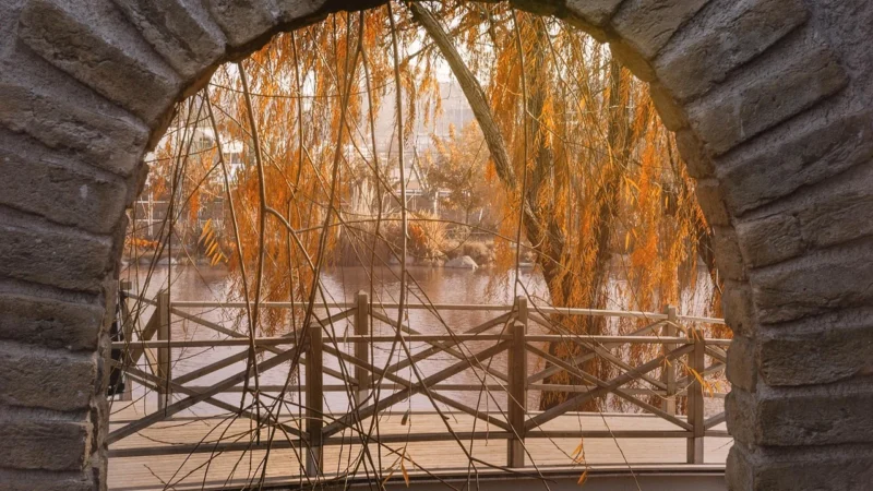 Fototapety.Pl Jesienny Park Za Oknem Drewniane Okna Fototapeta Na Ścianę 250x250cm Fizelina