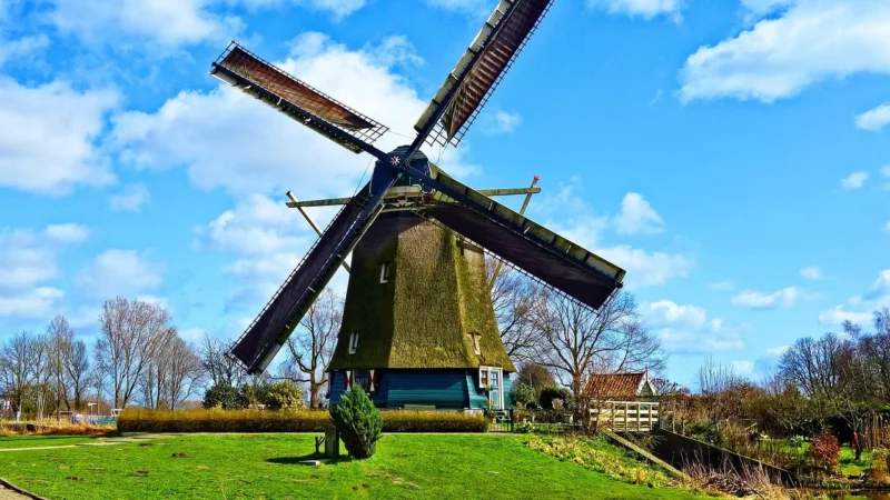 Fototapety.Pl Lato W Rotterdamie Holenderskie Wiatraki Okleina Na Ścianę 250x250cm Magicstick