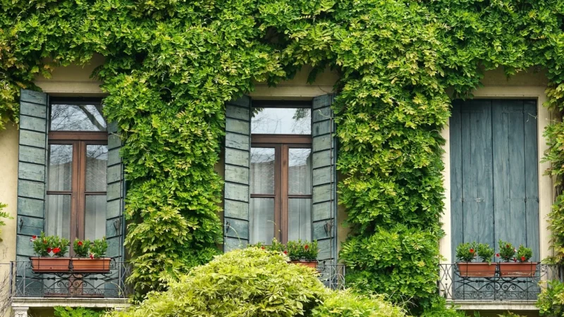 Fototapety.Pl Okno Z Okiennicami I Pelargonie Widok Na Zatokę Fototapeta Ścianę 250x250cm Magicstick