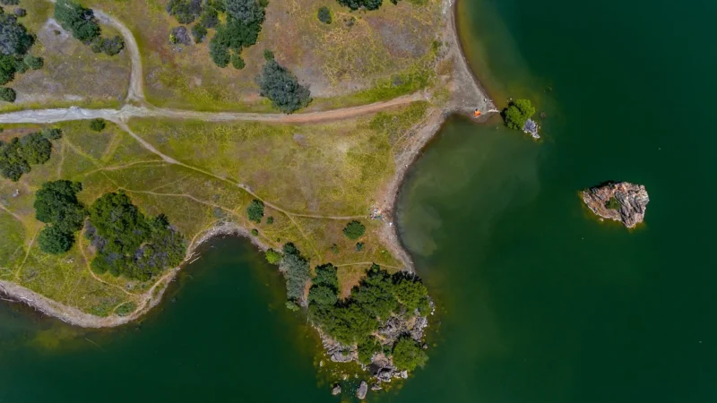 Fototapety.Pl Panorama Miasta W Australii Natura Roślinność Okleina Na Ścianę 250x250cm Fizelina