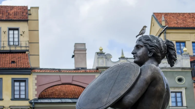 Fototapety.Pl Syrenka Warszawska Stare Miasto Polska Okleina Na Ścianę 250x250cm Fizelina
