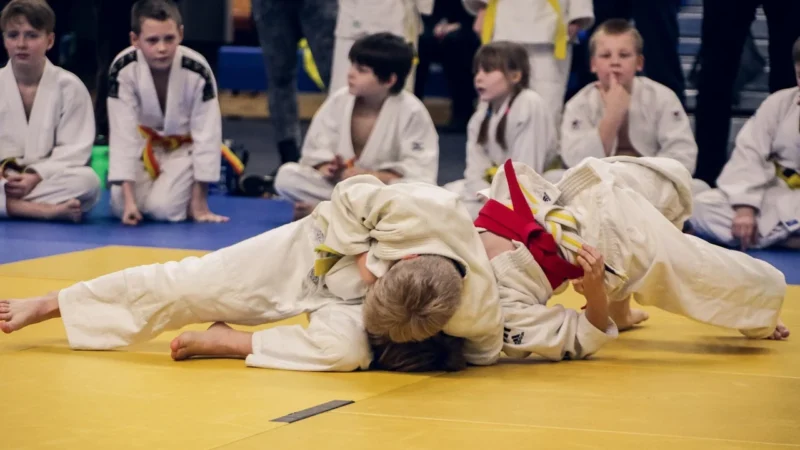 Fototapety.Pl Techniki Dźwigni Judo Fototapeta Na Ścianę 250x250cm Fizelina
