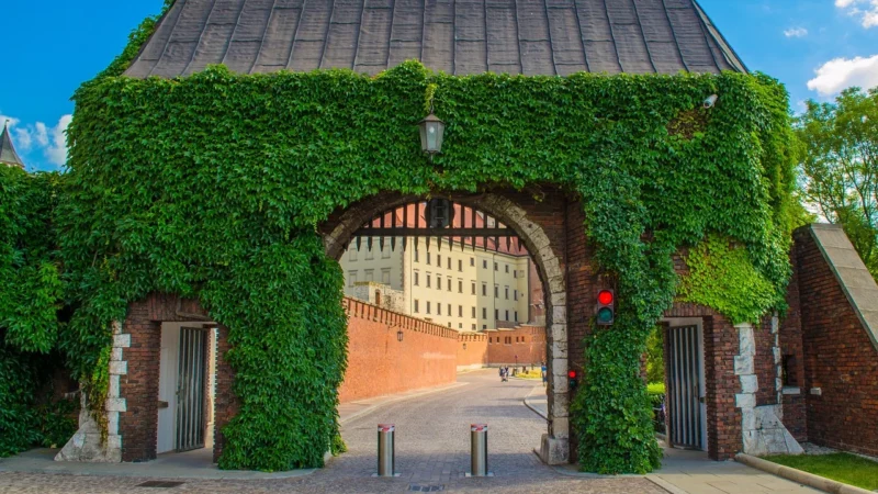 Fototapety.Pl Wawel Kraków Architektura Zamek Królewski Okleina Na Ścianę 250x250cm Fizelina