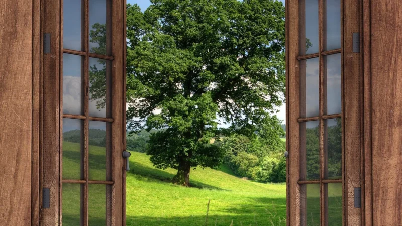 Fototapety.Pl Zieleń Drzewa Widok Za Oknem Mieszkanie Fototapeta Na Ścianę 250x250cm Fizelina