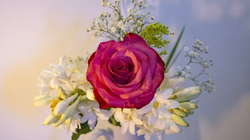 Galerie English Florals G34308