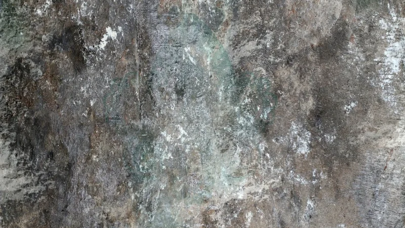 Laboratorium Farb Farba Do Betonu Posadzek Elewacji Grafit 5l