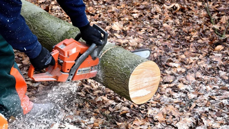 Makita EA3110T