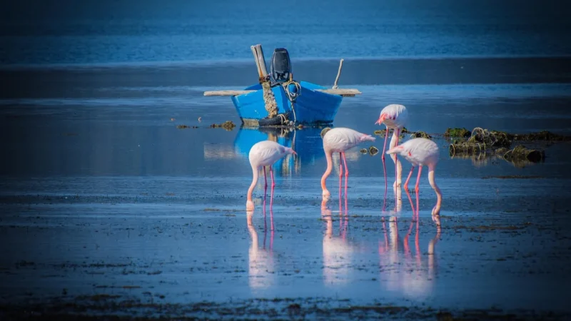 Muralo Fototapeta Flamingi Abstrakcja 400×280