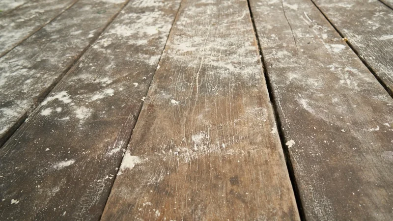 Panele podłogowe KalinaFloor Panele winylowe LVT SPC LAGUNA 4052 jasne beżowe