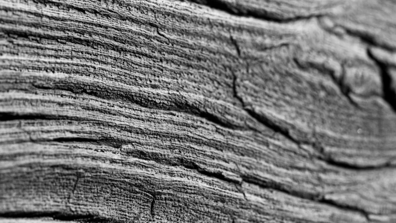 Panele podłogowe Nxt Floor Panele Podłogowe Home Belmond Oak Grey Ac4 8 Mm (510031015)