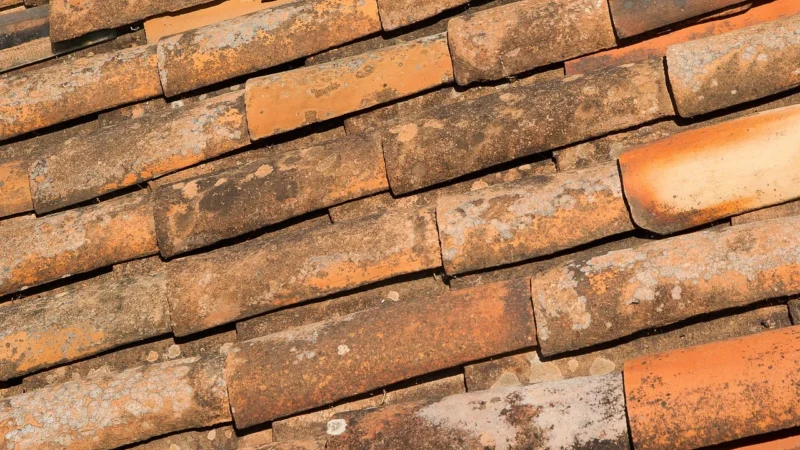Paradyż Cotto Crema Trapez 12,6×29,6