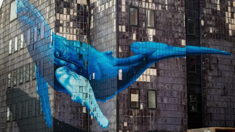 Phototapety.Eu Grafika Canvas Nw 055-21-B