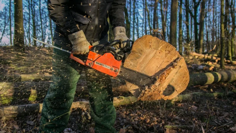 Piła Black&Decker Akumulatorowa pilarka łańcuchowa (GKC1820L20-QW)