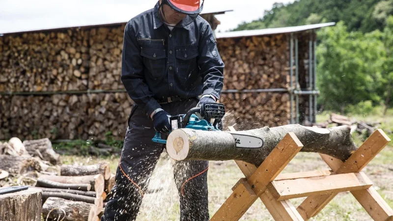 Piła Black&Decker Akumulatorowa pilarka łańcuchowa (GKC1825L20-QW)