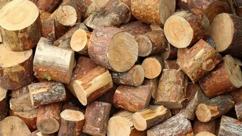 Piła Holzkraft HBS 431 5154301