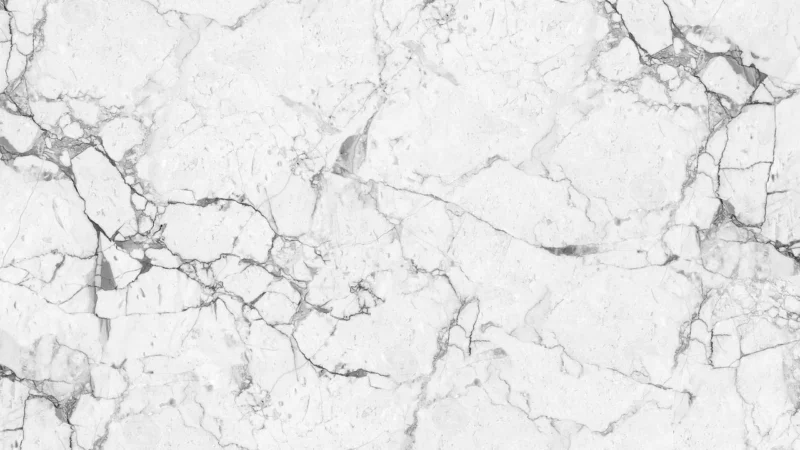 Serenissima Magistra Fior Di Bosco 100×100 Lux-Rett Gres
