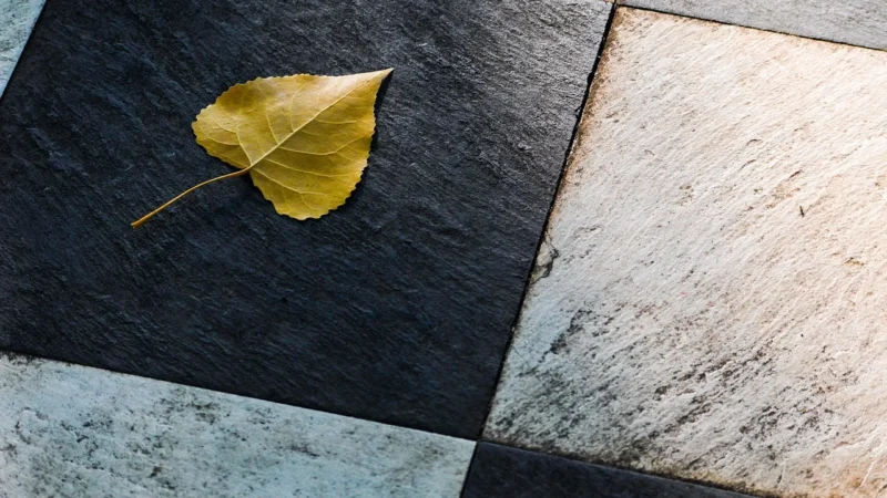 Serenissima Travertini Due Greige 60×60 Lux-Rett Gres