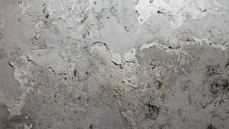 Śnieżka Beton-Posadzka Farba Akrylowa Po Podłoży Betonowych Biały 1L