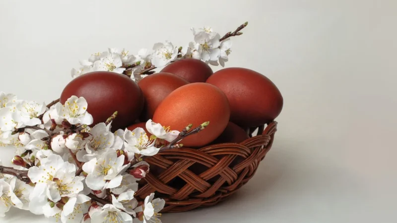 TIKKURILA Designer 2.5L- Apricot