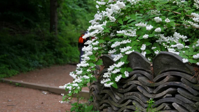 Tubądzin Berlin Tegel White Oxford 59,8×29,8