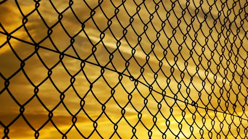 Zalety i zastosowanie ogrodzeń panelowych